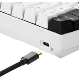 Sharkoon SKILLER SGK50 S4, clavier gaming Blanc/Noir, Layout BE, Kailh Red, LED RGB, Hot-swappable, 60%