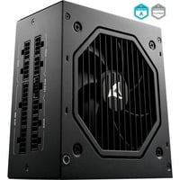 Sharkoon Rebel P20, 1000 Watt alimentation Noir, 4x PCIe, 1x 12VHPWR, Gestion des câbles